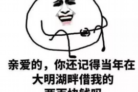 普洱要账公司更多成功案例详情